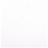 Плита підвісної стелі AMF Ecomin Filigran board KCS 600х600х13 мм